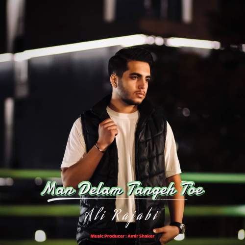 دانلود آهنگ علی رجبی من دلم تنگ توئه دانلود آهنگ علی رجبی من دلم تنگ توئه